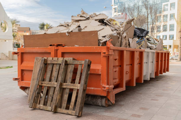 Best Attic Cleanout Services  in Anoka, MN