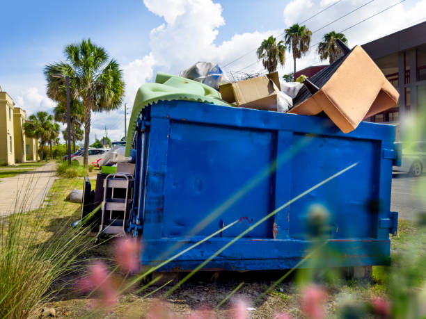 Best Electronics Removal Services  in Anoka, MN
